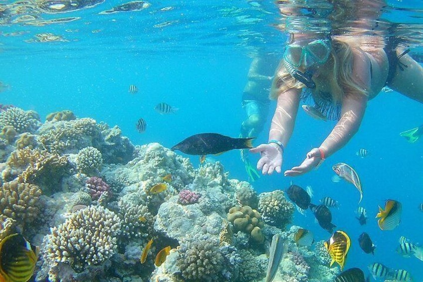 Orange Bay Snorkeling Sea Trip & Water Sports ( Banana & quadra ) - Hurghada