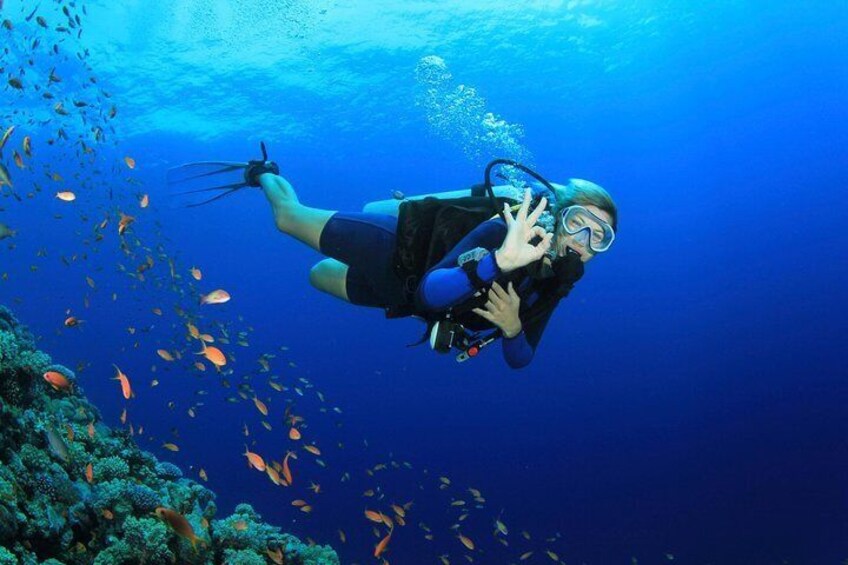 2 Stops Professional Scuba Diving Full Day Trip – Hurghada