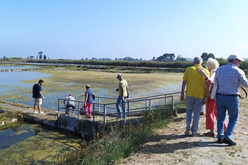 Aveiro - Salinas da Noeirinha