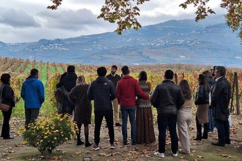 Private Tour to stunning Douro Valley and most renowned wineries