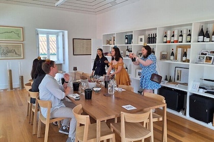 Tour privado al impresionante valle del Duero y las bodegas más famosas