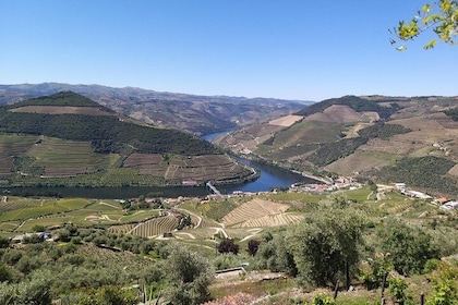 Private Tour to stunning Douro Valley and most renowned wineries