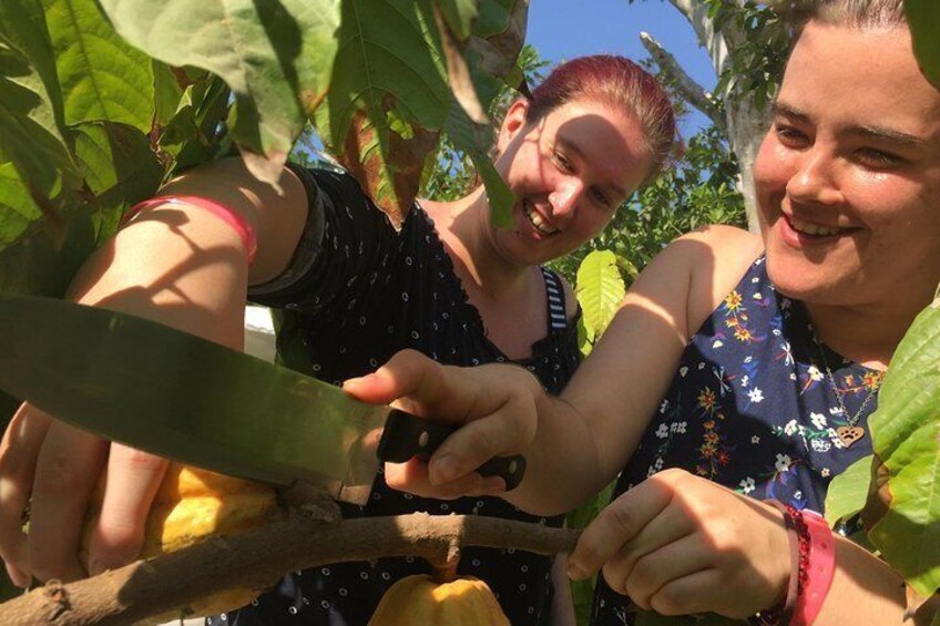 Chocolate Tour in Vallarta