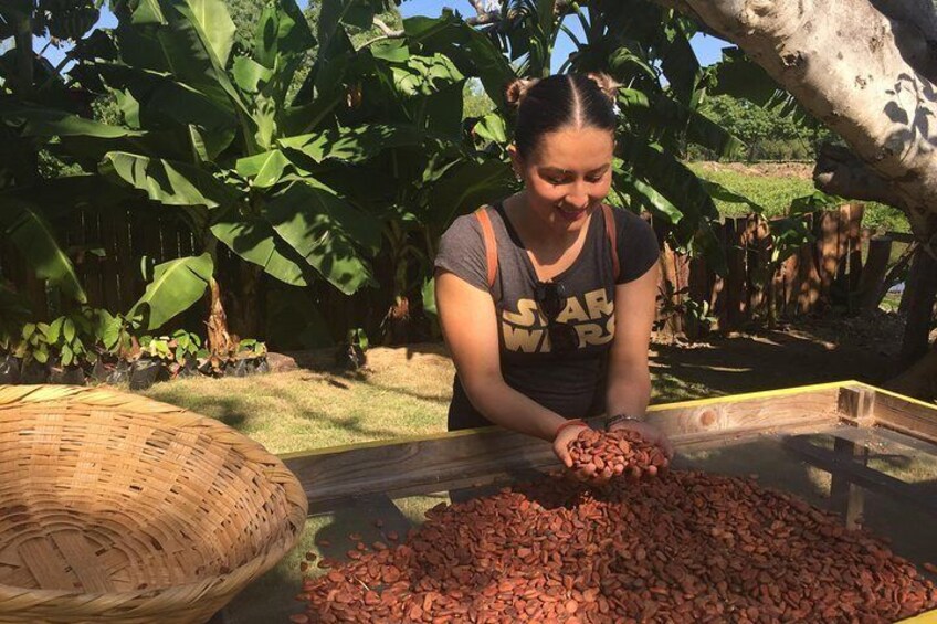 Chocolate Tour in Vallarta