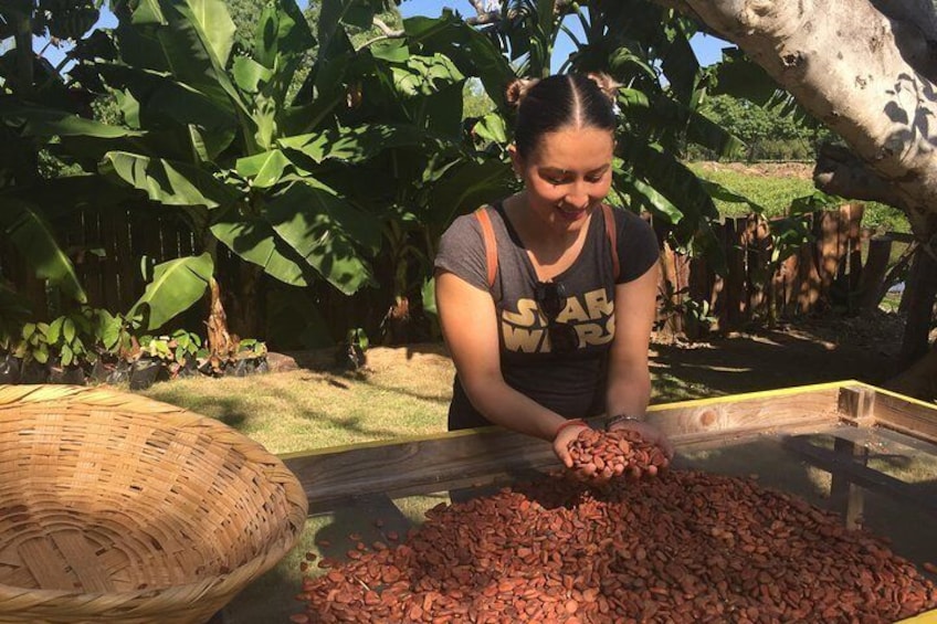 Chocolate Tour in Vallarta