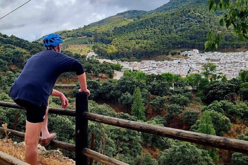 Wine & Tapas tour by electric bike (e-bike) including Ronda pickup (full day)