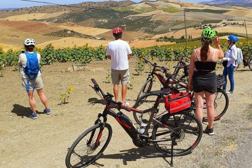 Wine, Tapas & Lake Zahara by e-bike including Ronda pickup (full day)