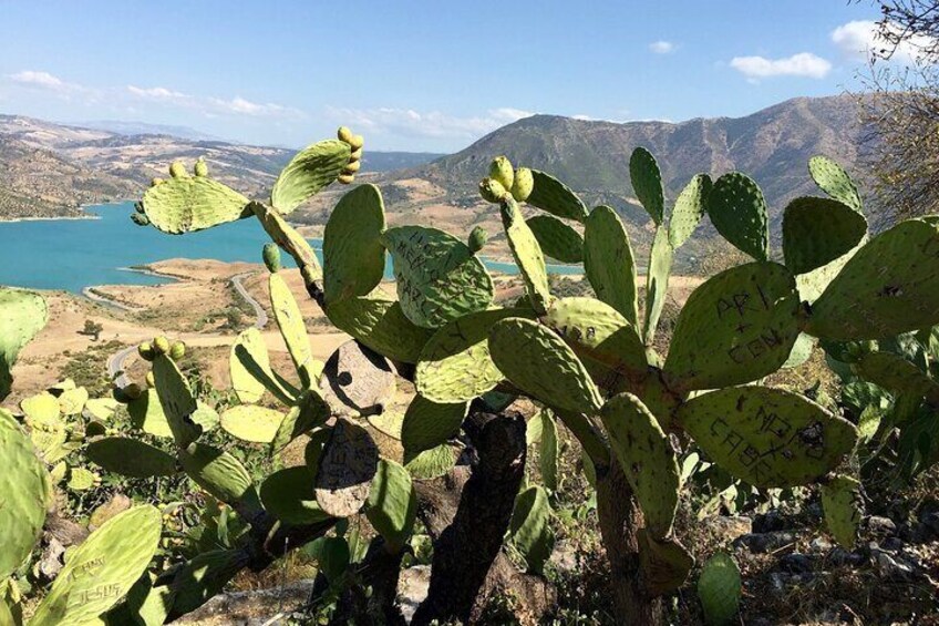 Wine, Tapas & Lake Zahara by e-bike including Ronda pickup (full day)