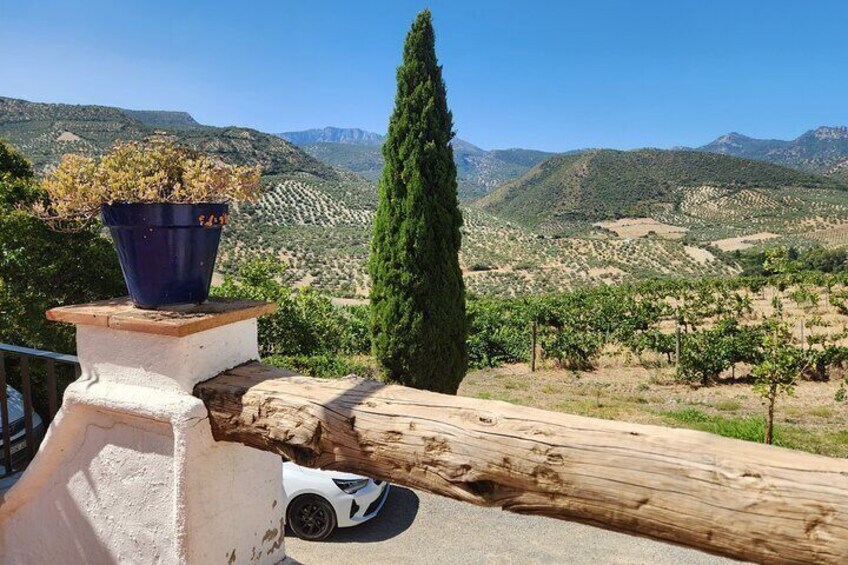Wine, Tapas & Lake Zahara by e-bike including Ronda pickup (full day)