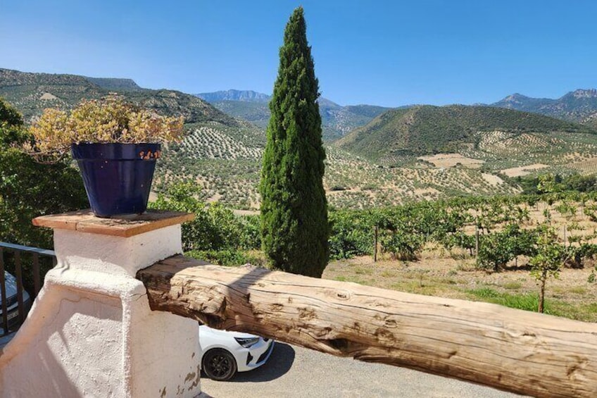Wine, Tapas & Lake Zahara by e-bike including Ronda pickup (full day)