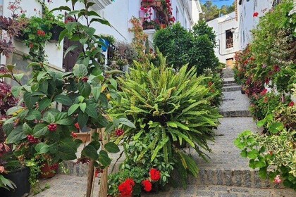 Wine, Tapas & Lake Zahara by e-bike incl Ronda pickup (full day)