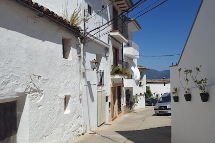 Wine & Tapas tour by electric bike (e-bike) including Ronda pickup (half da...