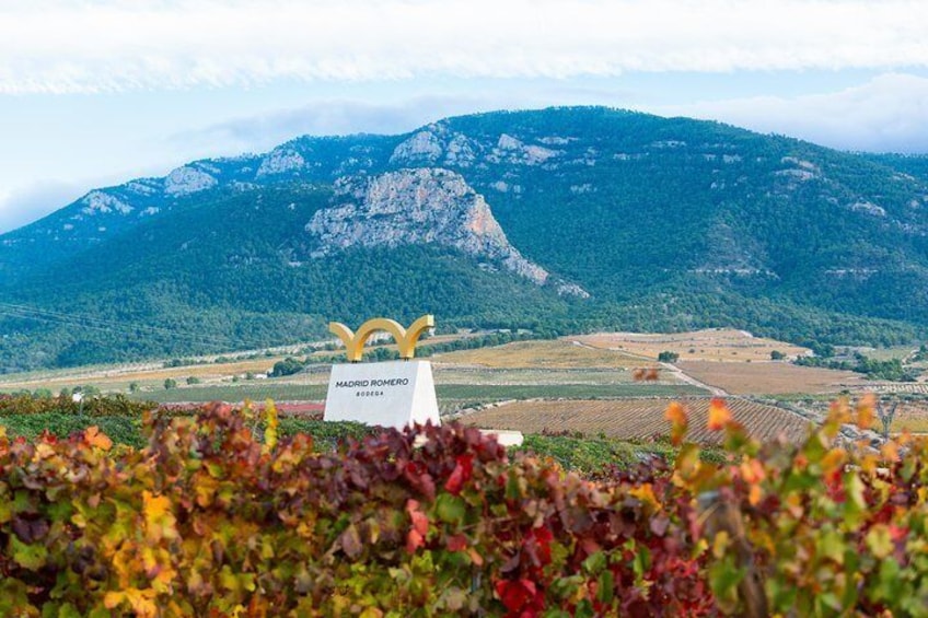 Visit Finca La Solana Madrid Romero with Wine Tasting