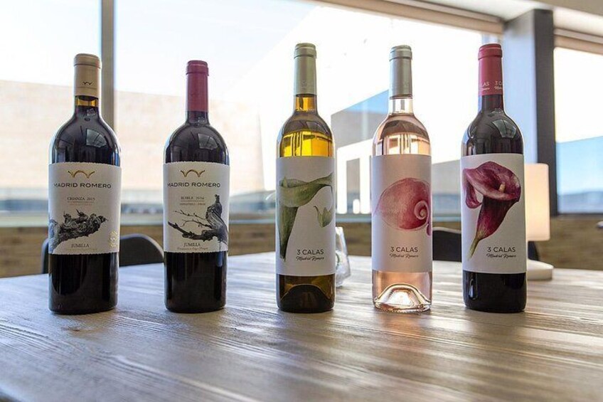 Visit Finca La Solana Madrid Romero with Wine Tasting