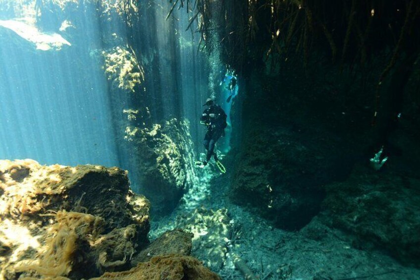 2-Tank Cenote Certified Dive in Tulum
