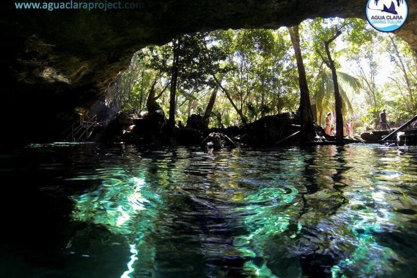 Explore two cenotes during your tour