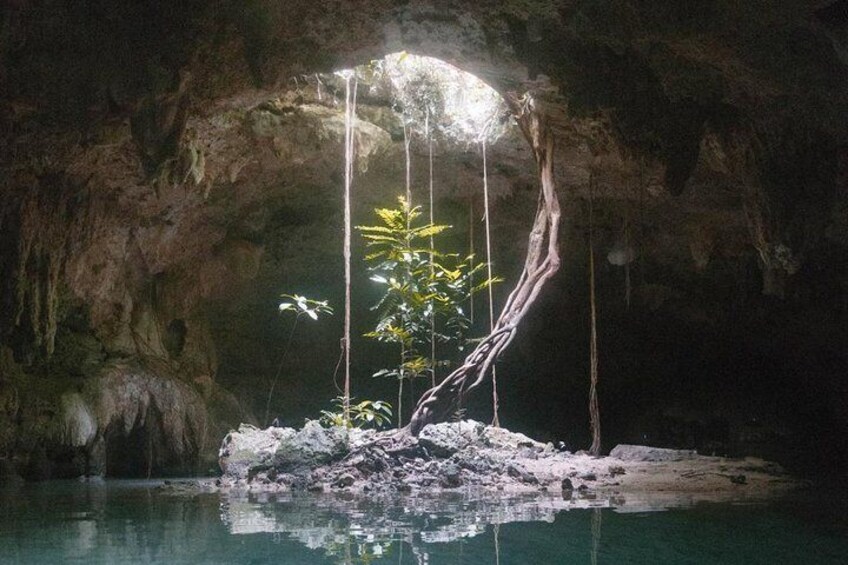 Explore an underground cenote