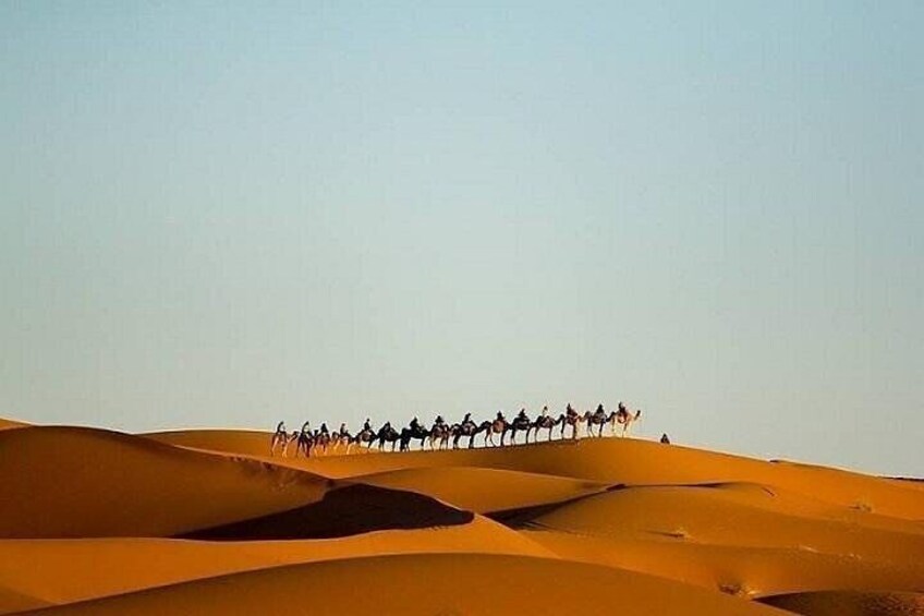 Erg chebbi Night In Moroccan Desert, Camel Trekking, Berber Comfortable Camp