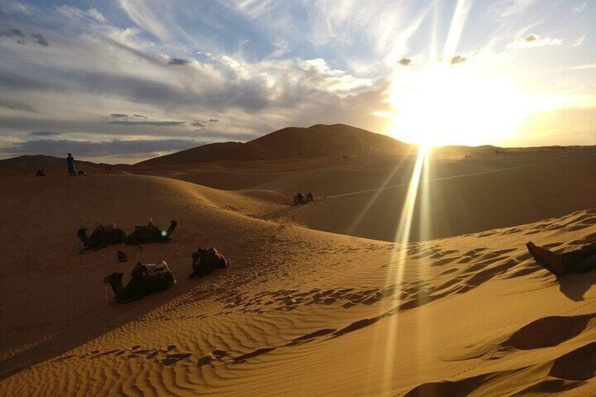 Luxury Camp in Merzouga Desert with Camel ride, 4x4, No Extra Fee.