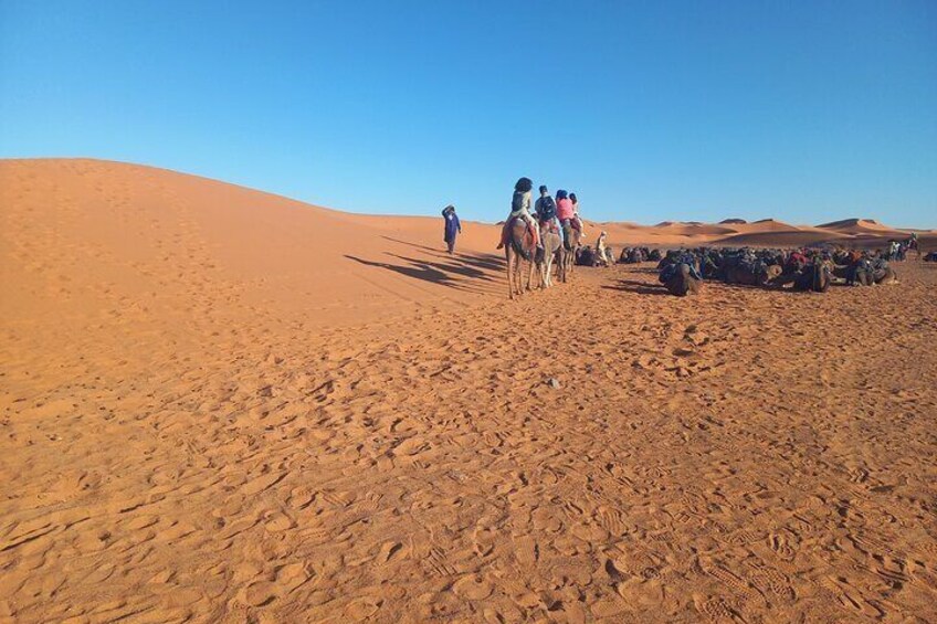 Trip From Erfoud To Merzouga Desert, Dinner, Camel Ride, Sunset, Berber Music 