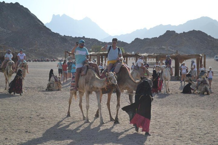 3 Hours Safari Afternoon By ATV Quad & Camel Ride - Marsa Alam