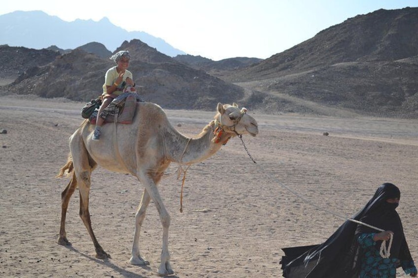 3 Hours Safari Afternoon By ATV Quad & Camel Ride - Marsa Alam