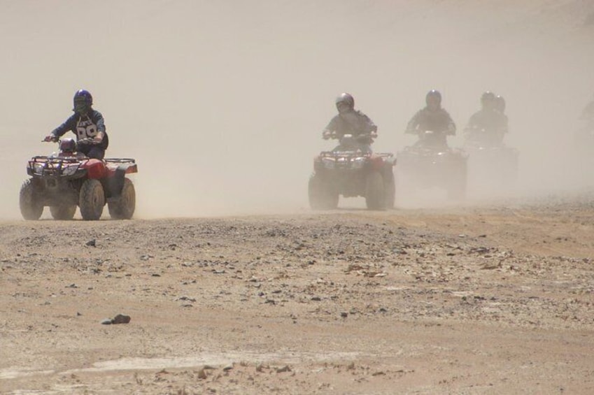 3 Hours Safari Afternoon By ATV Quad & Camel Ride - Marsa Alam