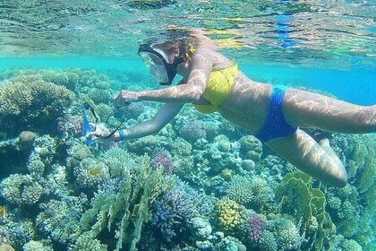 Royal Snorkeling sea trip Paradise or Orange Island, Water Sports - Hurghad...