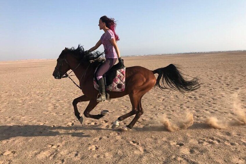 2 hours Horse Riding One Hour Riding on The sea and one Hour in Desert- Hurghada