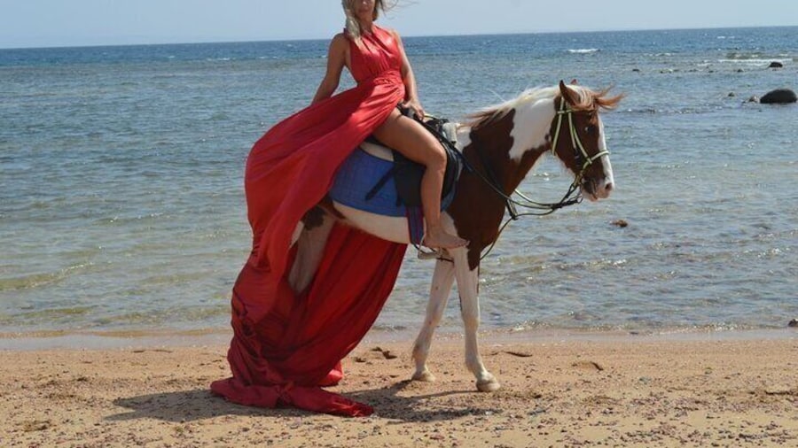 Horse Riding Tour on The Red Sea And Desert & Transfer-Hurghada