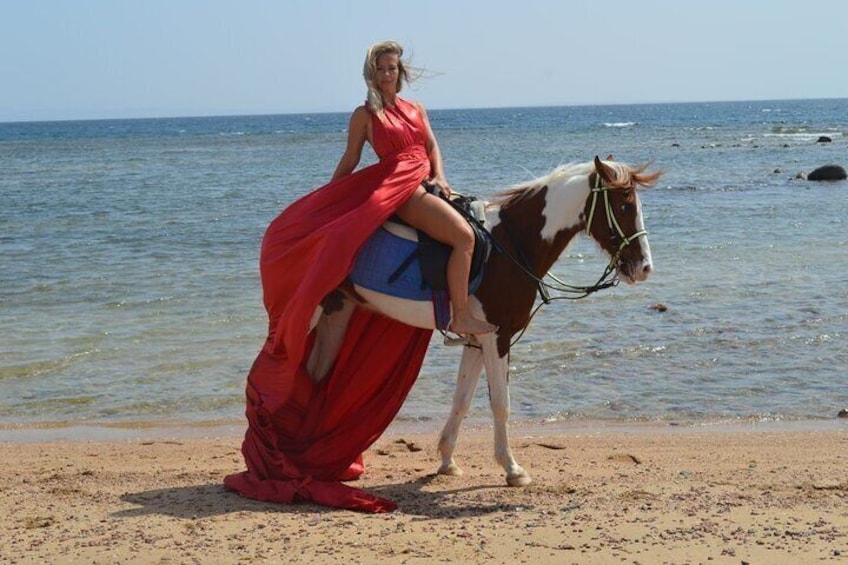 Horse Riding Tour on The Red Sea And Desert & Transfer-Hurghada