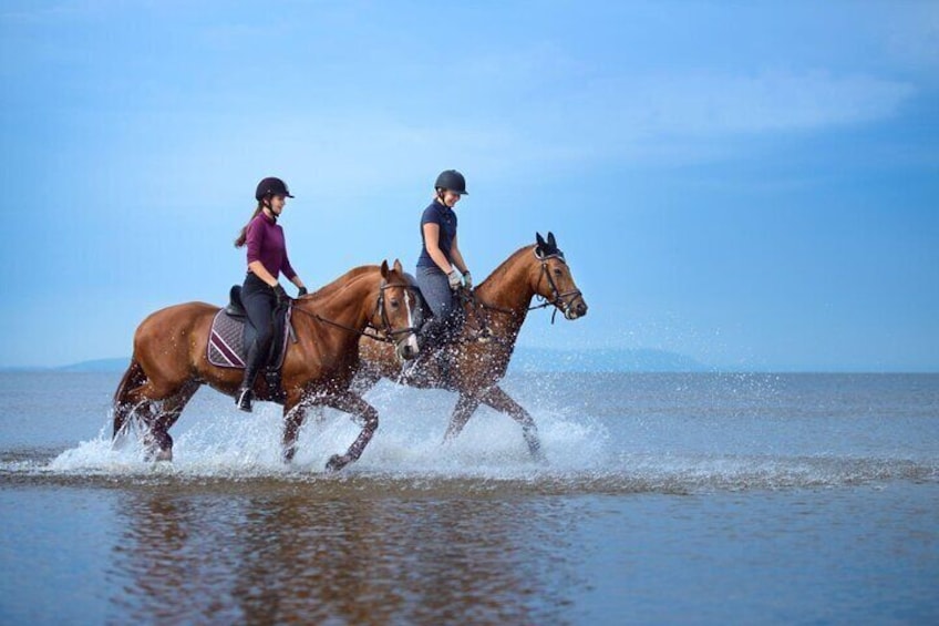 Horse Riding Tour on The Red Sea And Desert & Transfer-Hurghada