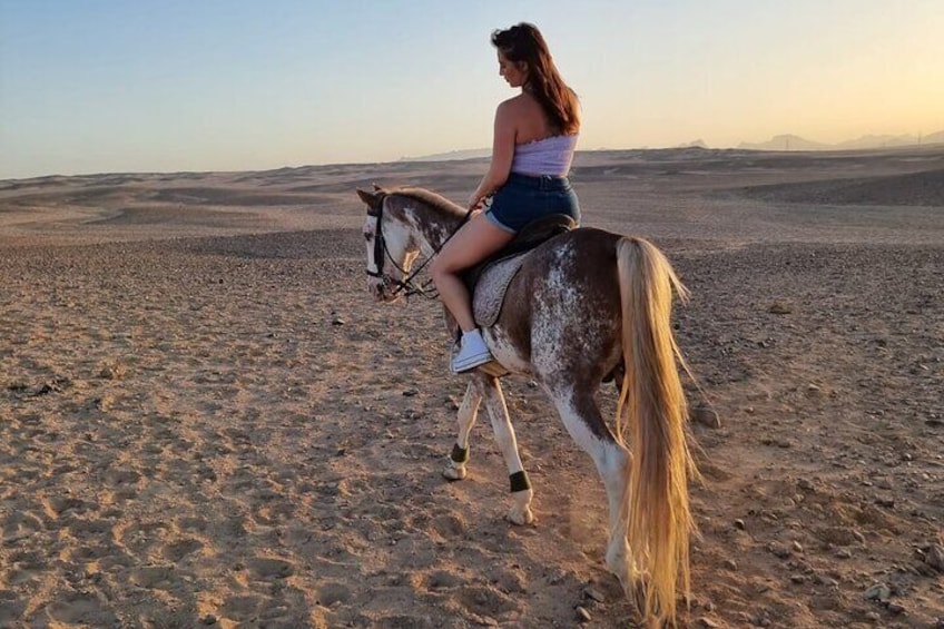 2 hours Horse Riding One Hour Riding on The sea and one Hour in Desert- Hurghada