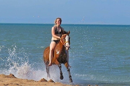 Horse Riding Tour 2 Hours on Sea And Desert & Transfer -Hurghada