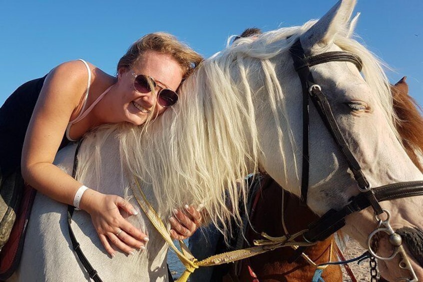 Horse Riding 2 hours - Hurghada