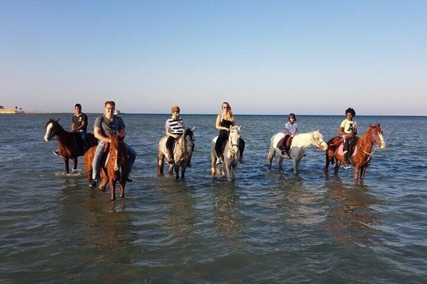 2 hours Horse Riding One Hour Riding on The sea and one Hour in Desert- Hurghada