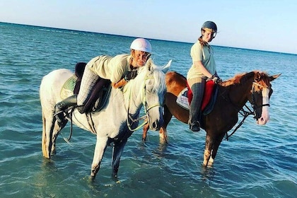 2 heures d'équitation 1H sur la mer et 1H dans le désert depuis Hurghada