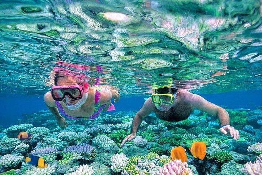 Snorkeling Adventure from Hurghada to Giftun Island with Lunch