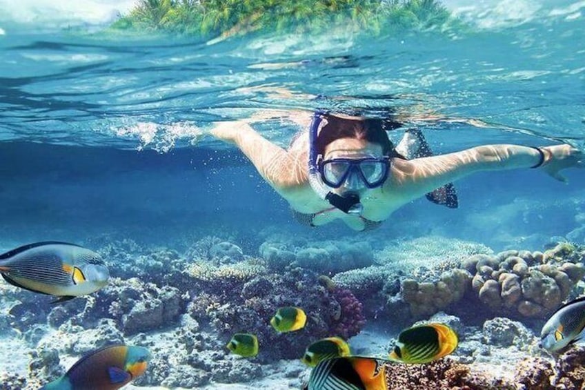 Snorkeling Adventure from Hurghada to Giftun Island with Lunch