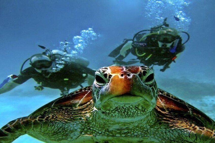 Scuba Diving Full Day Boat Trip for beginners – Hurghada