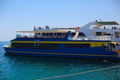 Paradise Catamaran Conquest 2 horas semi submarino y esnórquel - Hurghada