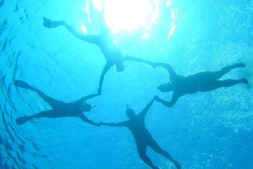 Special Dolphin House Royal VIP Snorkeling Sea Trip - Hurghada