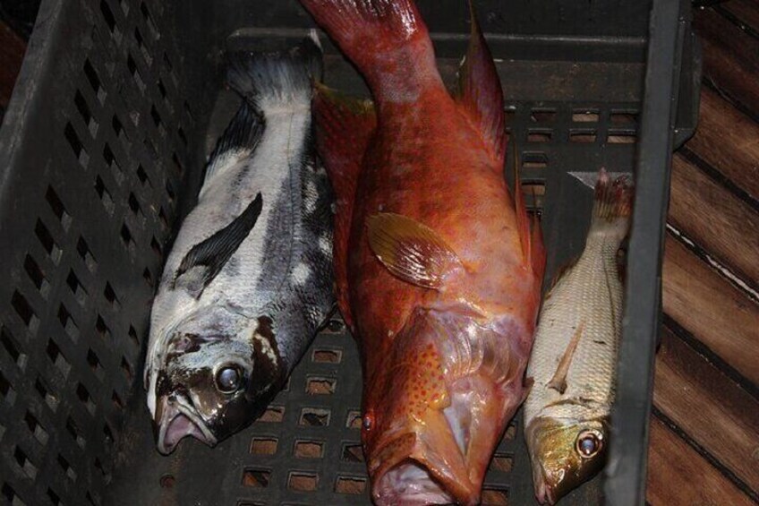 Private Fishing Overnight Sea Trip with Equipment - Hurghada