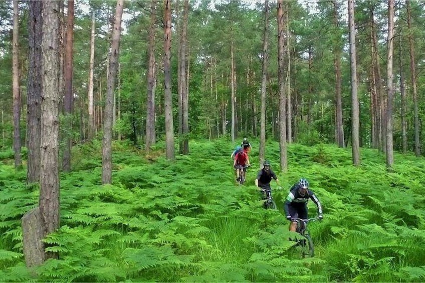 Ljubljana MTB capital