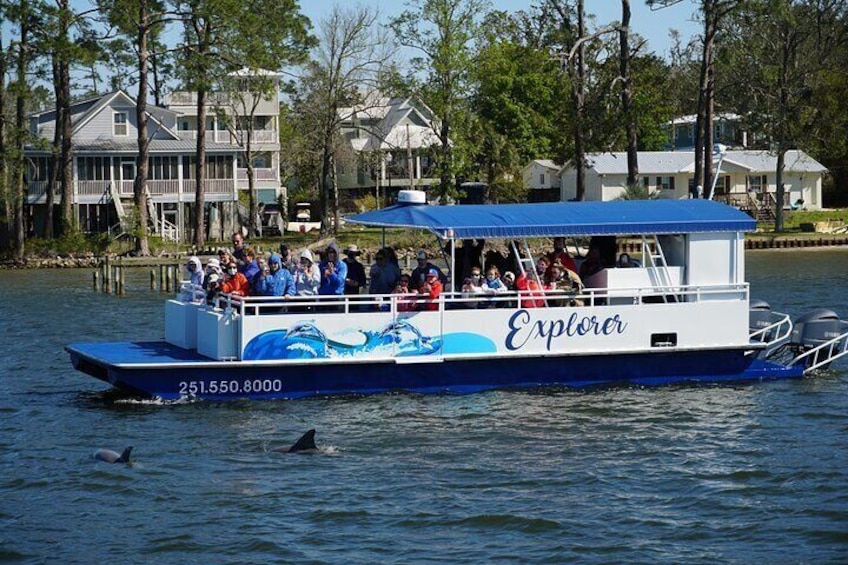 The Explorer during a Dolphin Cruise in Orange Beach