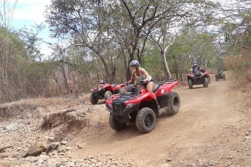 ATV JUNGLE