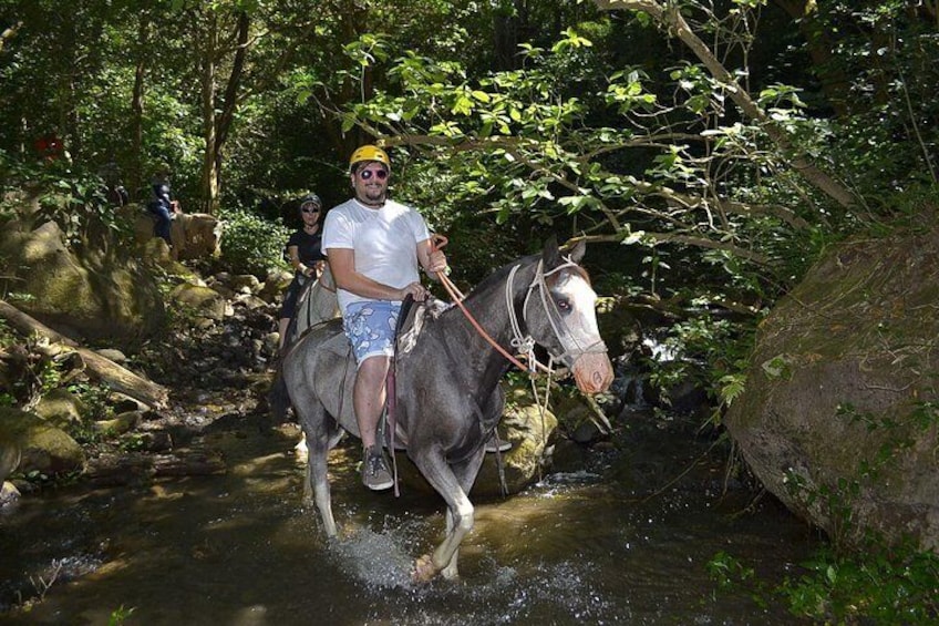 horsebackride