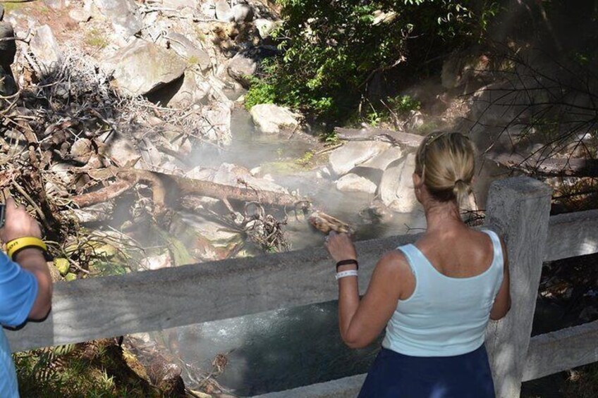 Fumaroles
