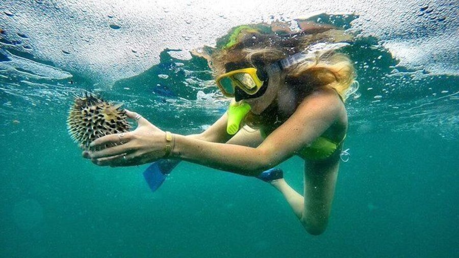 snorkel