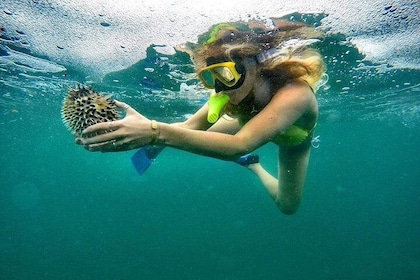 来自Playa Flamingo的ATV和Snorkel